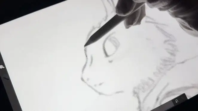 Thumbnail 25