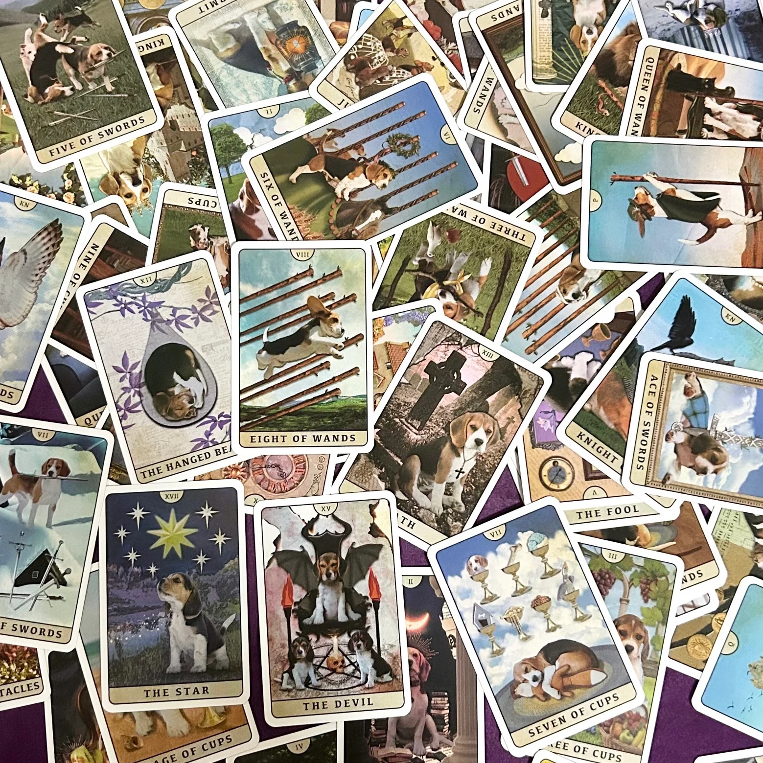 Thumbnail 9